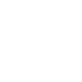 Execution Icon