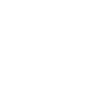 Initial Consultation Icon