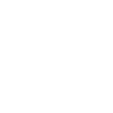 Inspection Icon